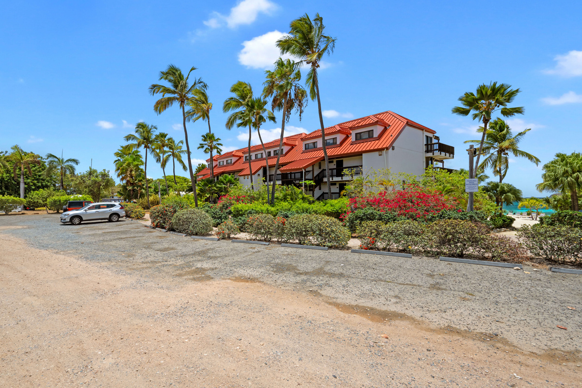 Palm-lined pathways and tropical scenery create the perfect vacation setting.