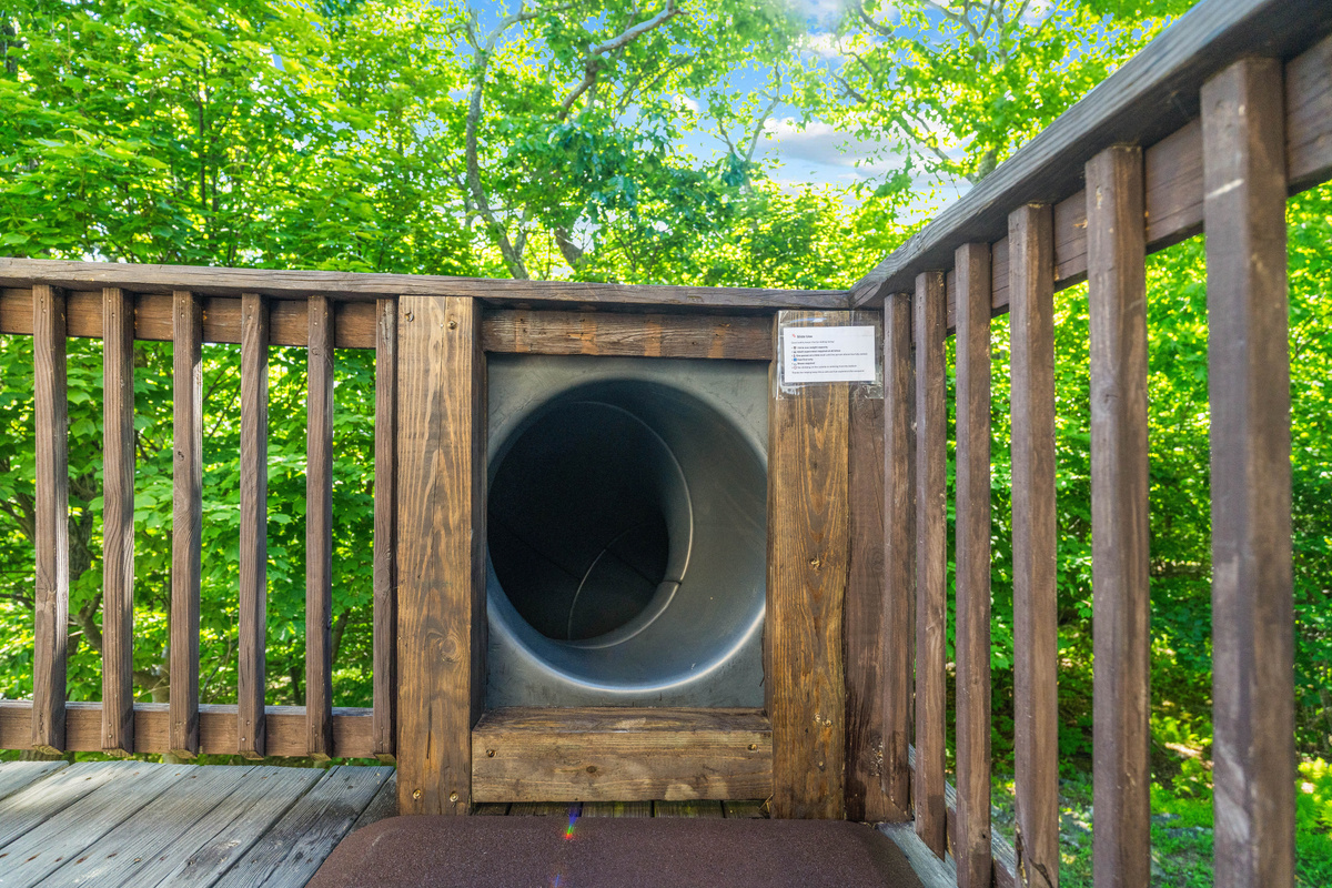 Just steps from the entrance, the spiral slide adds that instant kid-magnet moment — the kind of surprise that turns “nice house” into “can we come back here again?”