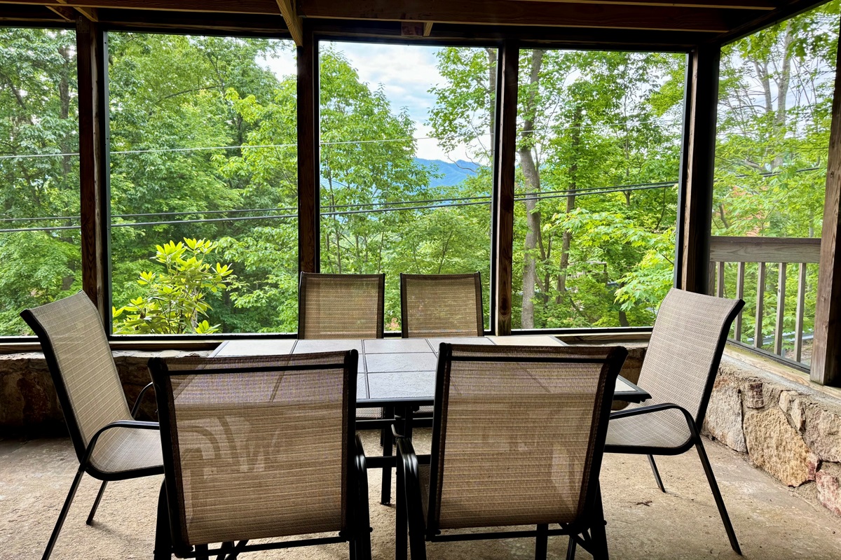 SUMMER SCREENED PORCH DINING