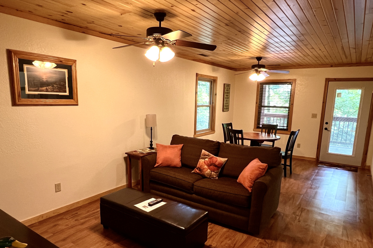 Entertainment room with sleeper sofa.