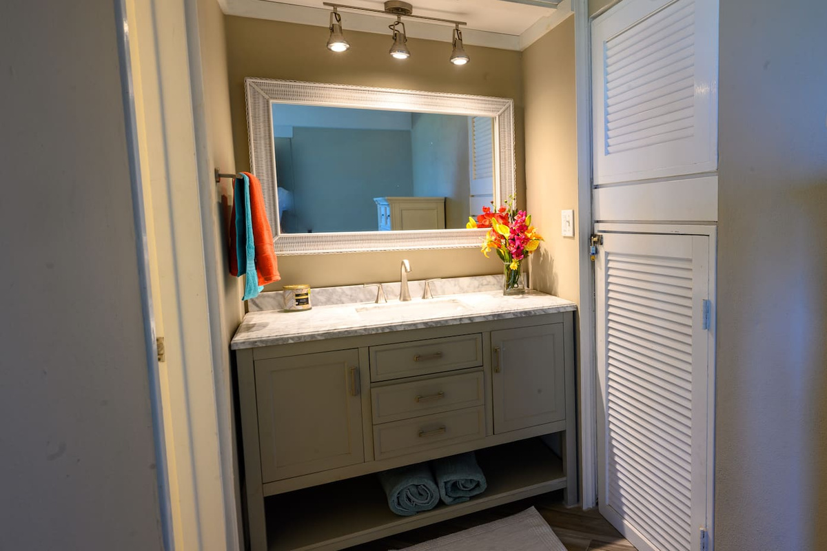 Guest bathroom vanity