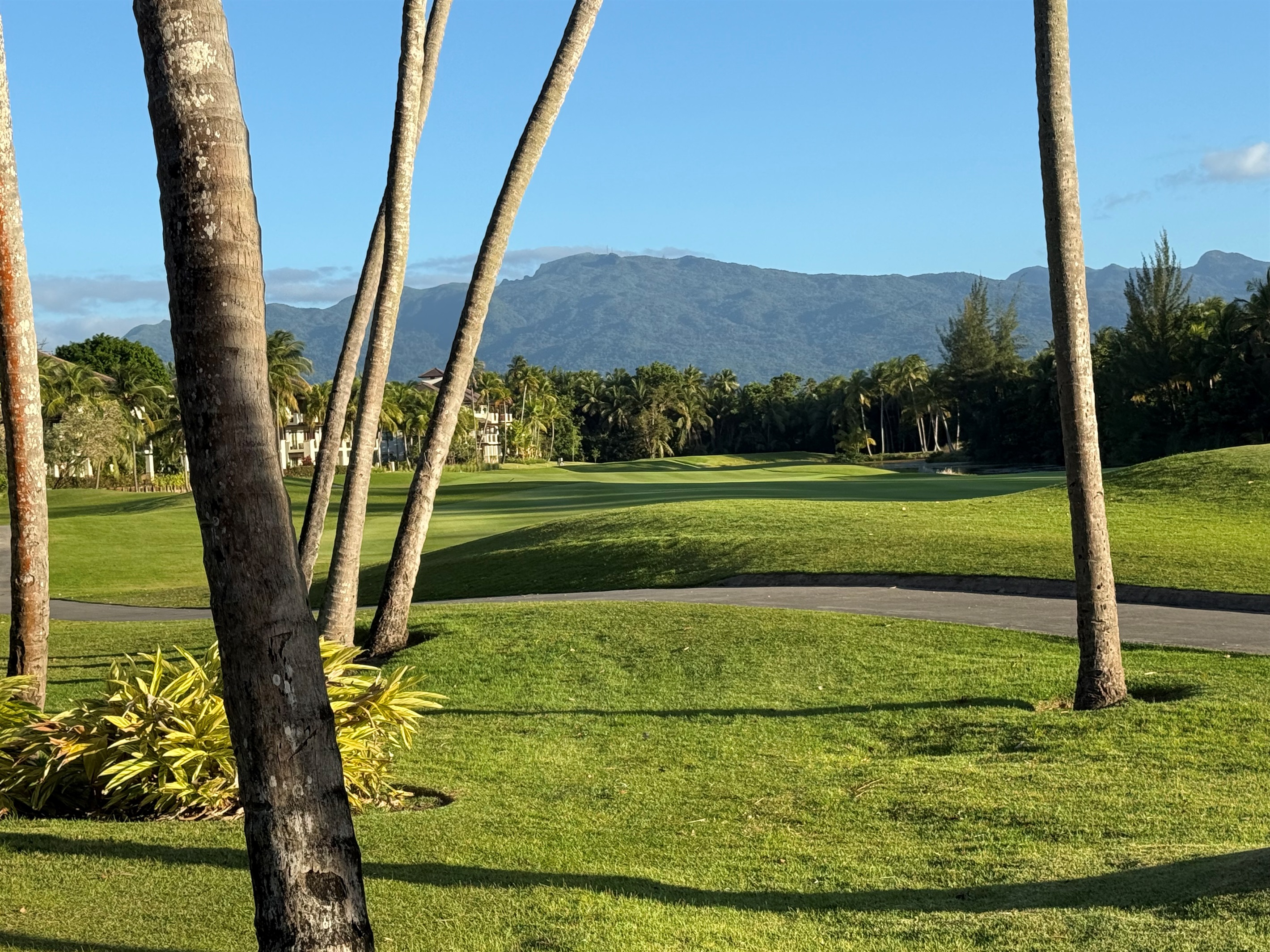 El Yunque Rainforest View