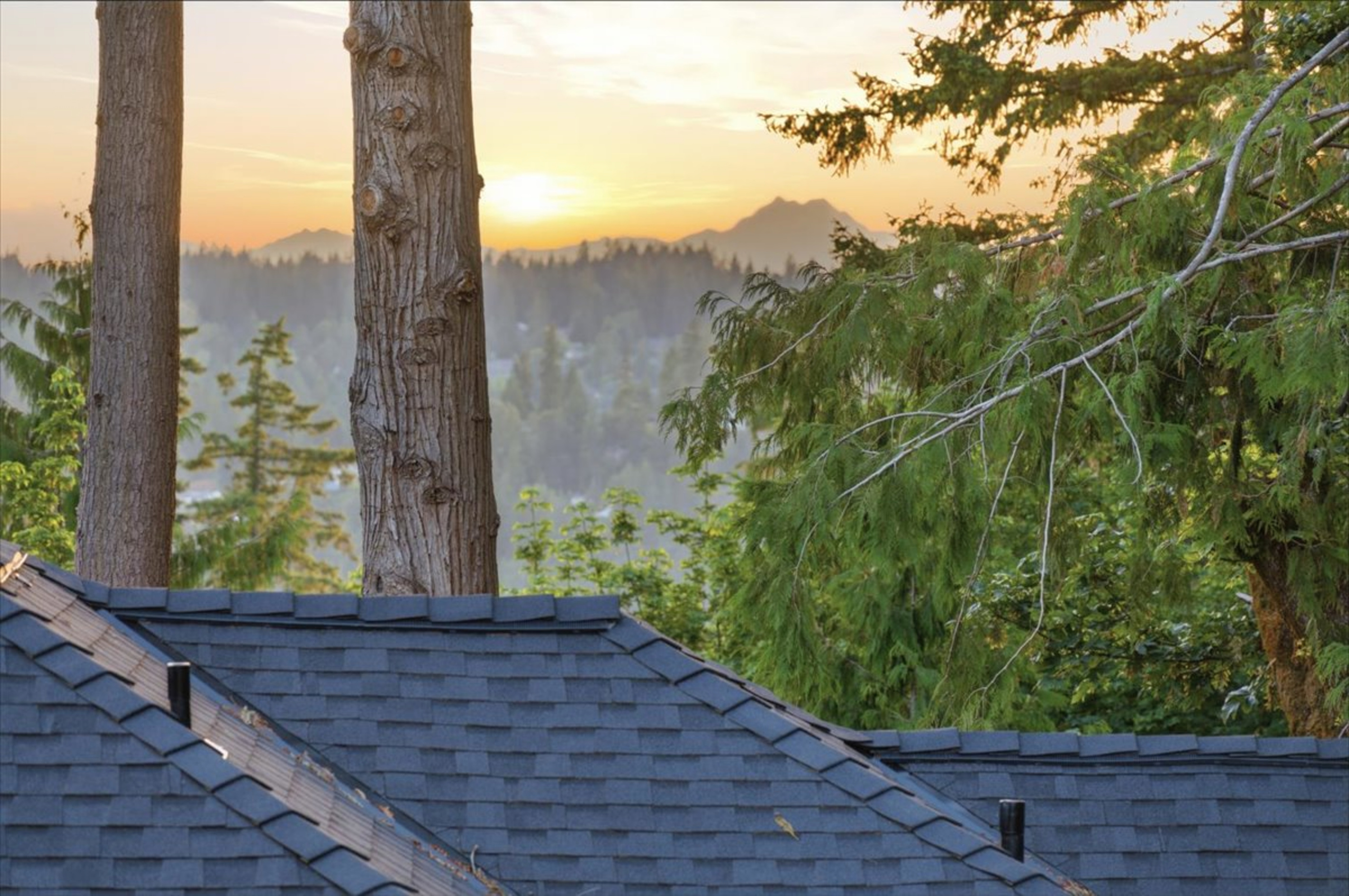 Olympic Mountains view 