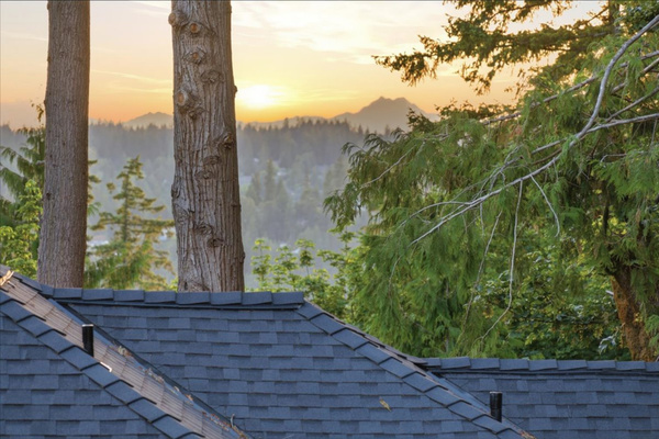 Olympic Mountains view 