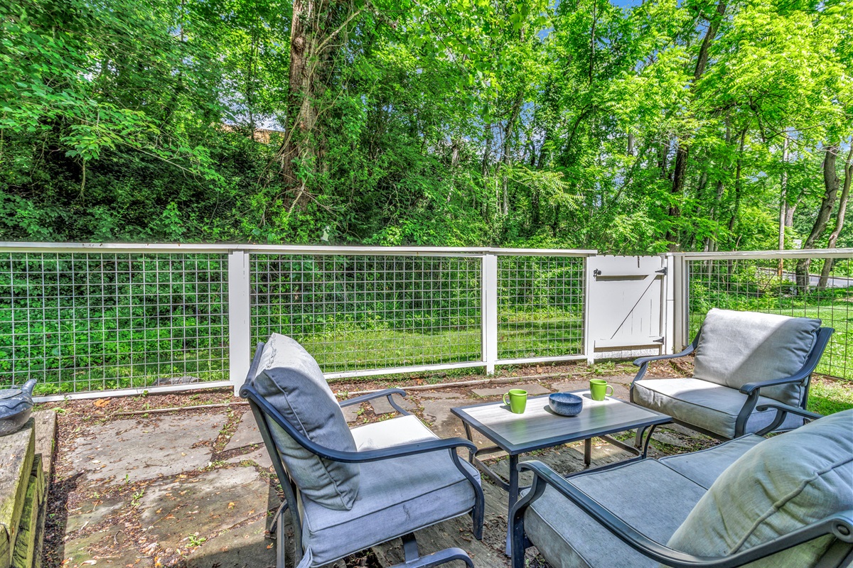 Outdoor Seating in Fenced Backyard