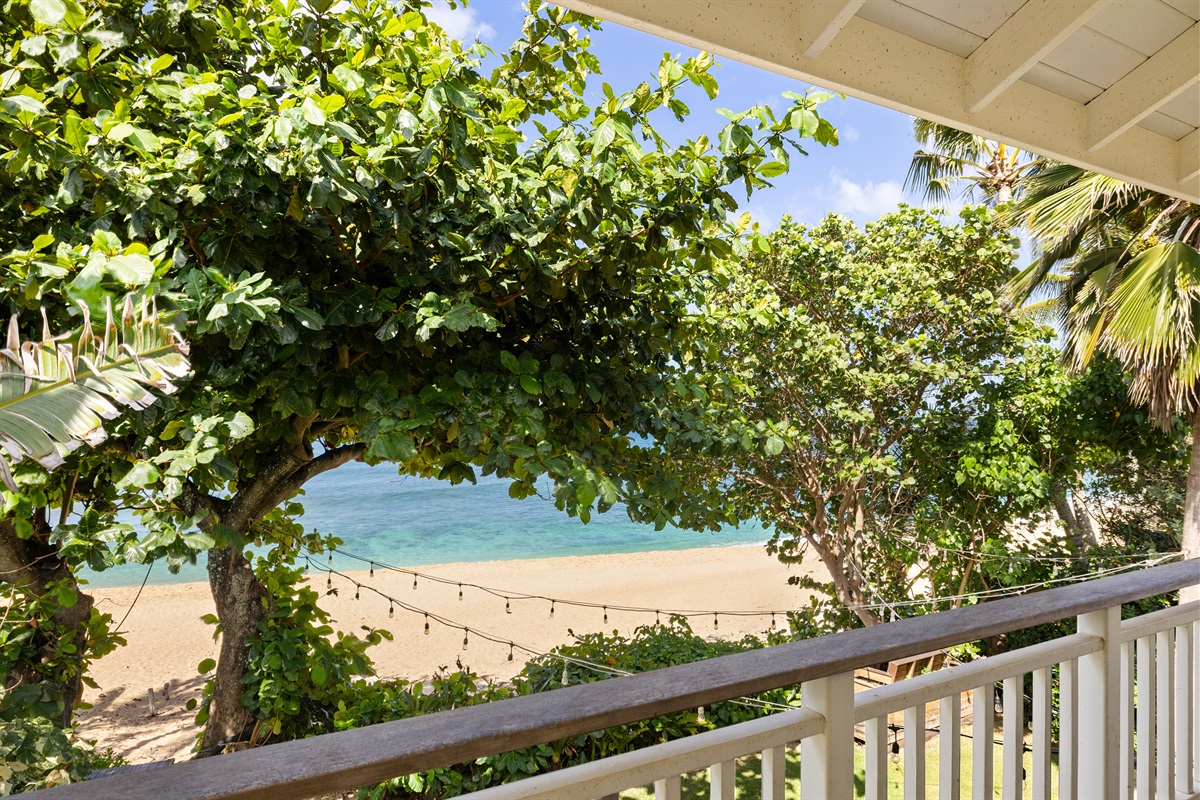 beach and ocean views