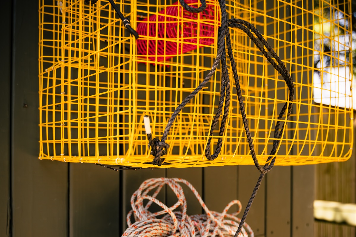 Crab traps provided for guest use.. just bring or catch your bait!