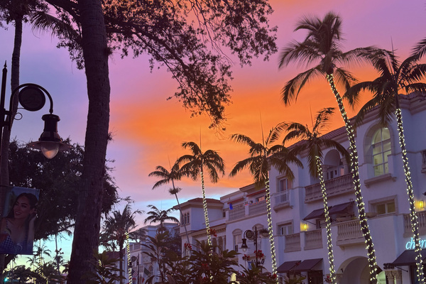 Fifth Avenue South at dusk — acclaimed dining, boutiques, galleries, and Old Naples charm just a short stroll away.