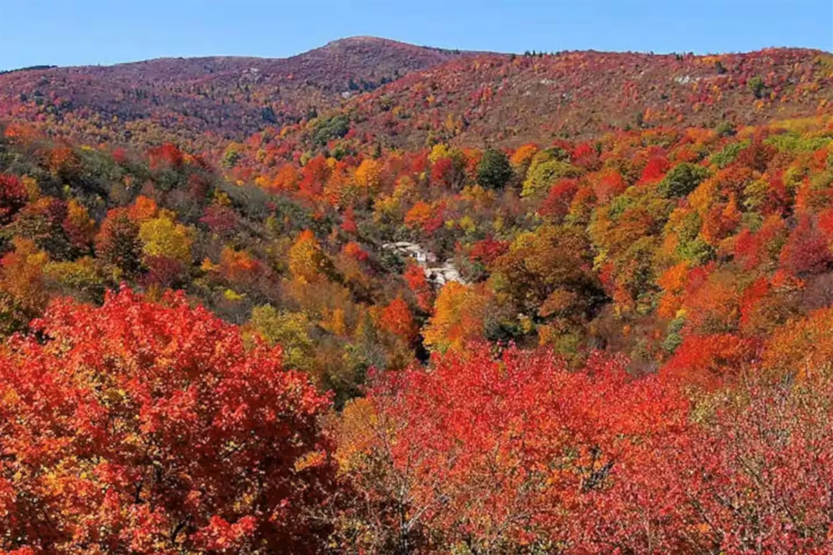 🍂 “Unbeatable fall foliage – October leaf season is prime time in the Blue Ridge. Enjoy beautiful autumn colors from lookout points along the blueridge parkway.