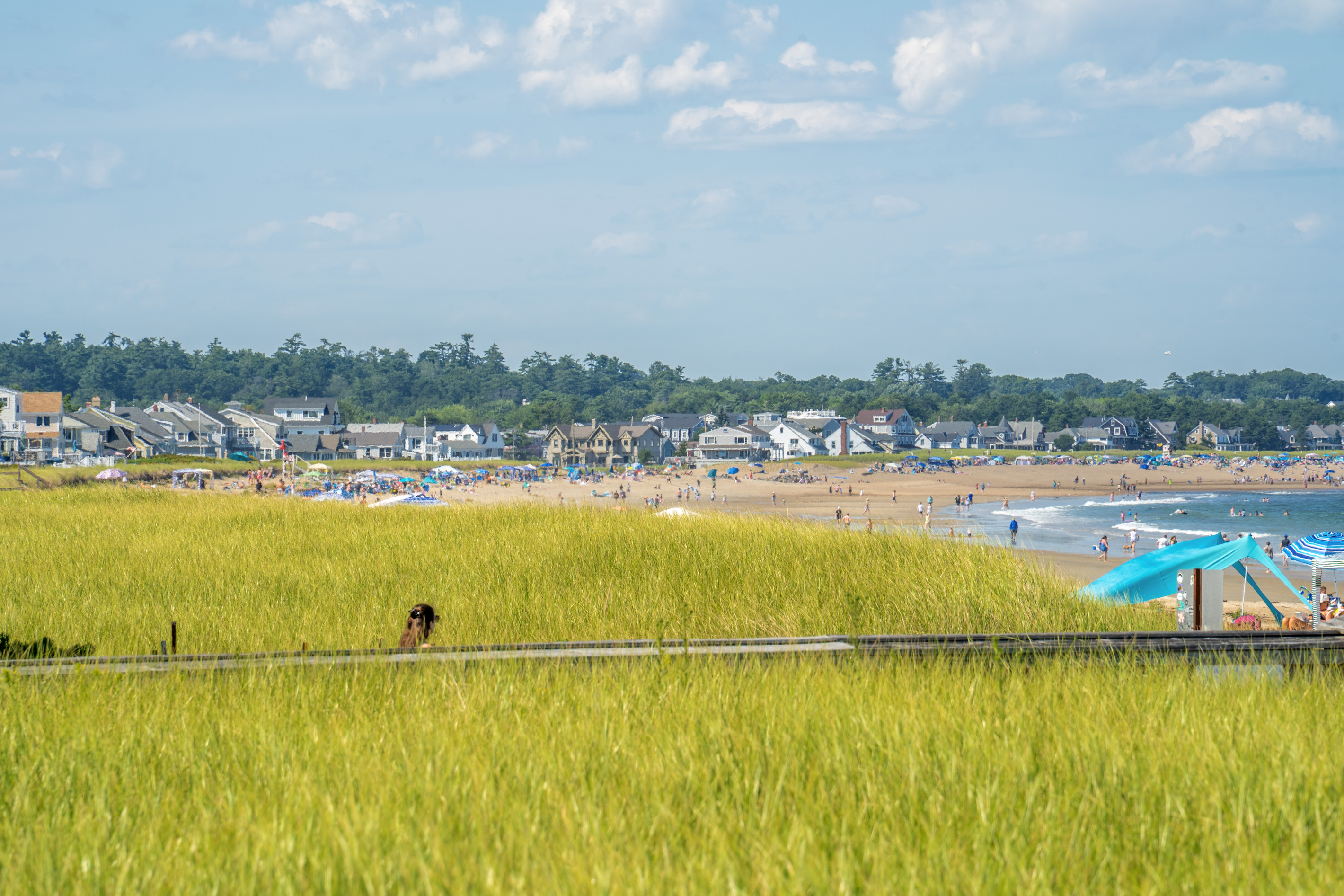 Beach grass, sandy shoreline, and sparkling water showcase the natural beauty surrounding this coastal neighborhood.
