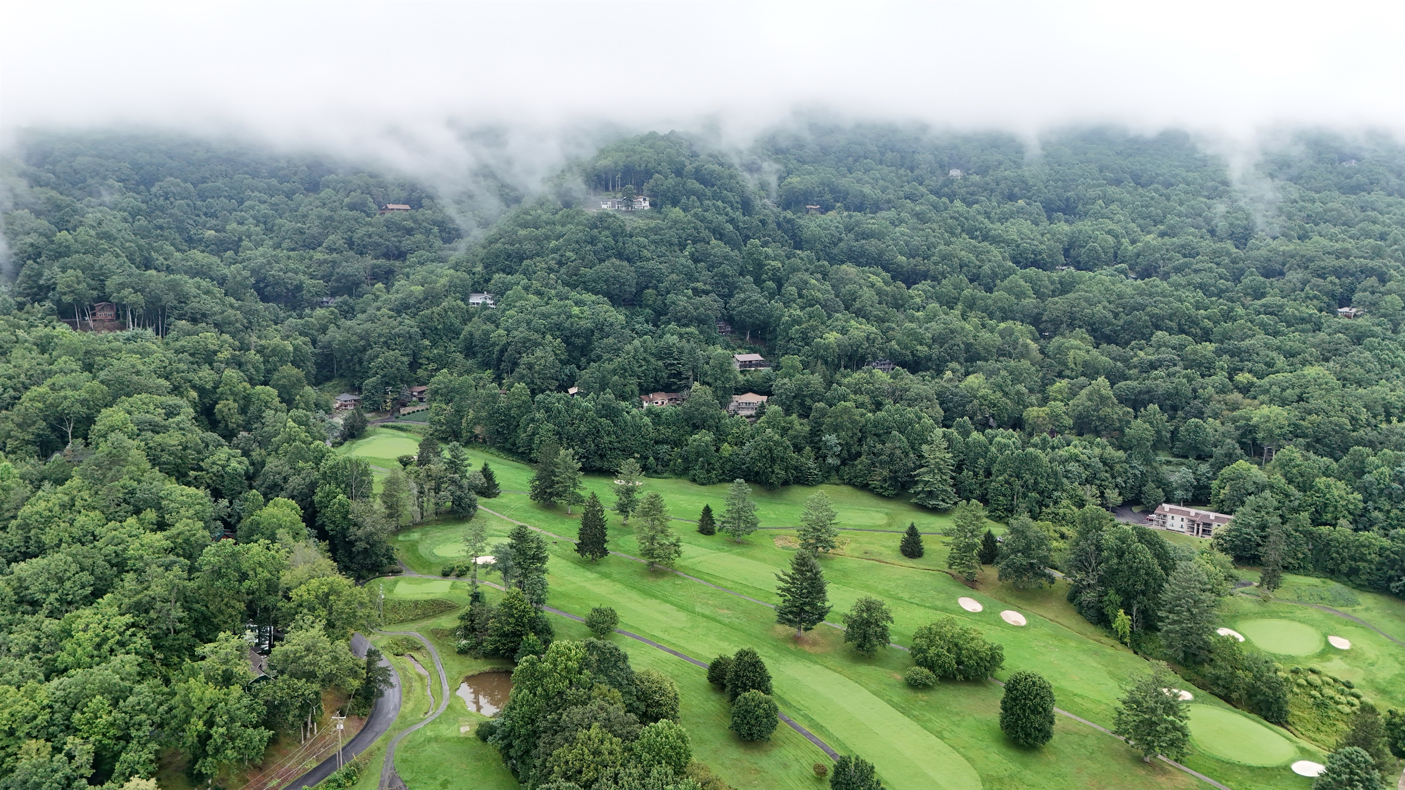 Scenic Retreat: Immerse yourself in lush greenery and tranquil mountain views! Perfect getaway spot!