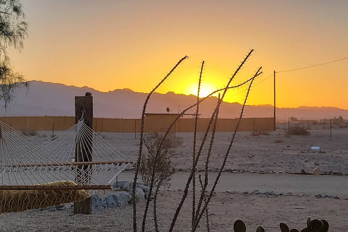 Hammock, ocotillos, and peace