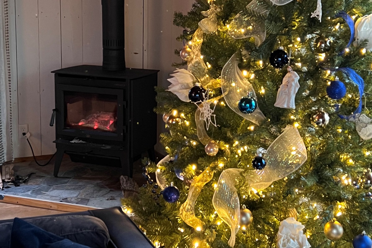 "Spending Christmas with family at this property felt like a Hallmark movie. We really enjoyed the wood-burning fire place and hot tub. " - Jennifer