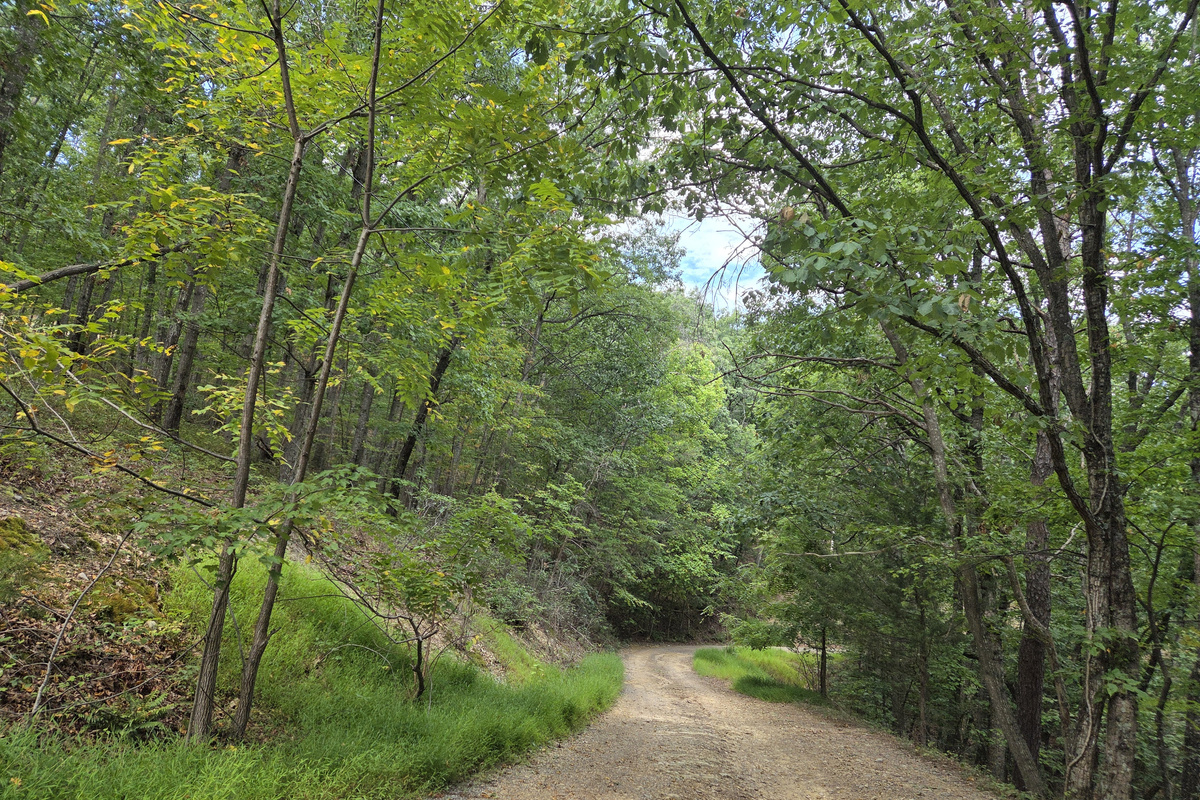 Road leading to the cabin
