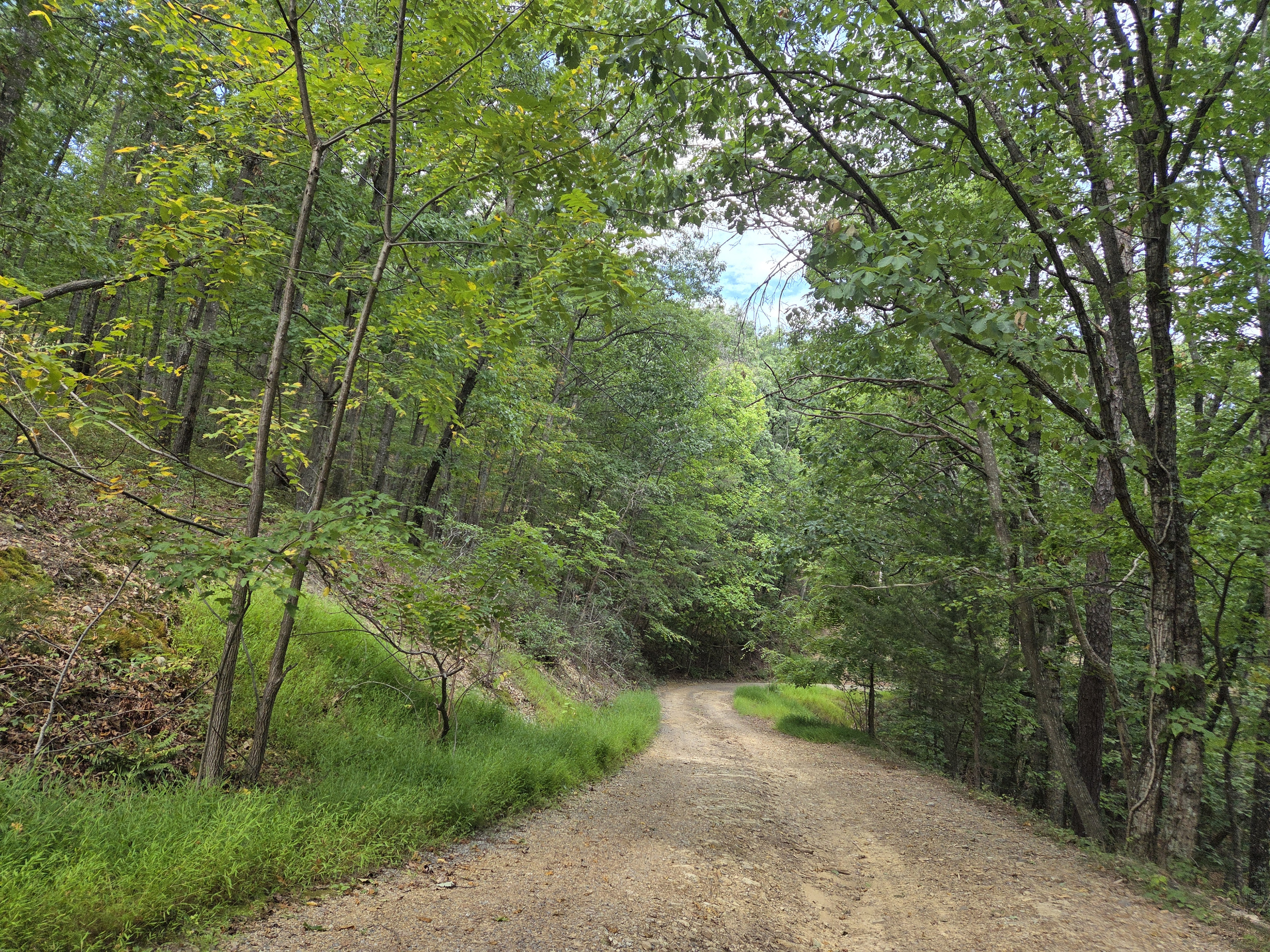 Road leading to the cabin
