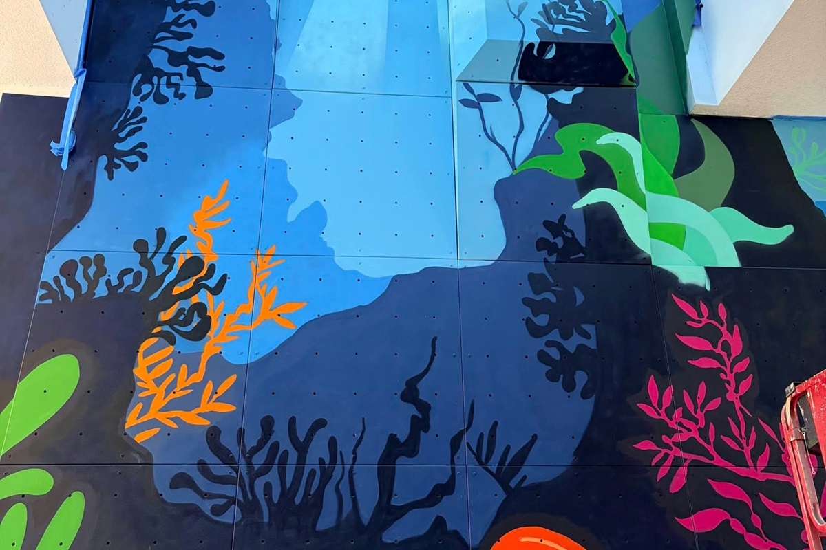 Coming soon: a brand-new climbing wall at Windsor Island, adding even more fun for kids and families!