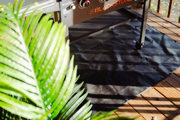 Details like lush plants bring an added touch of nature indoors