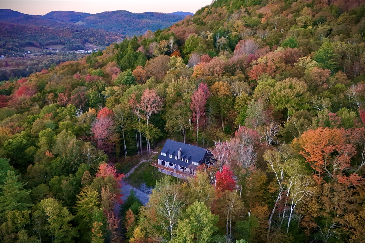Vermont Foliage