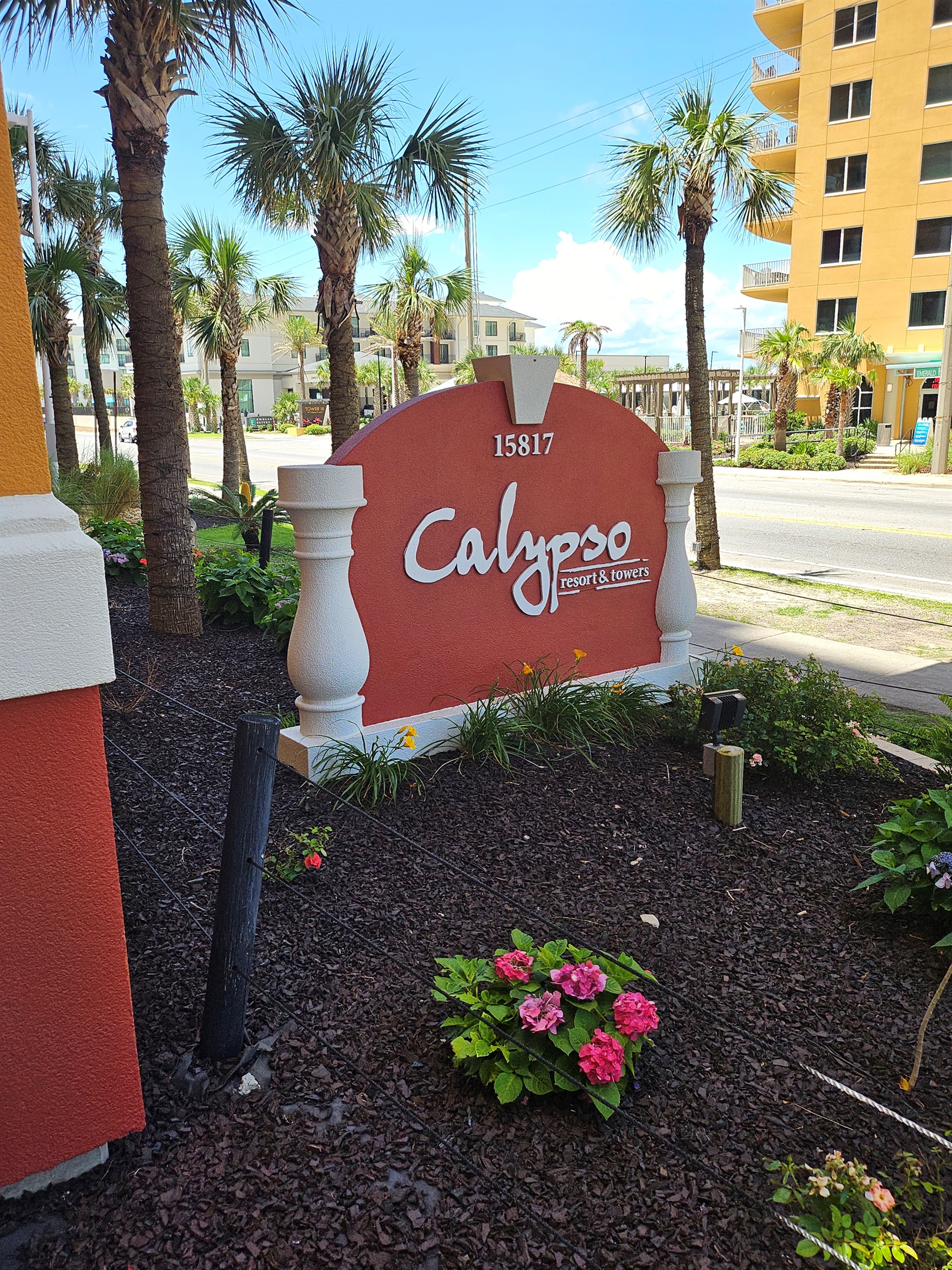 Calypso from street