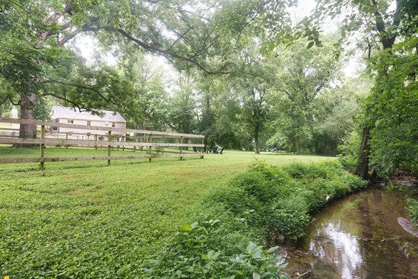 Small creek