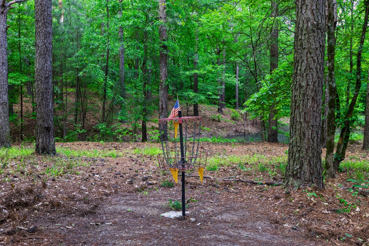 Disc golf fun right outside your cabin door.