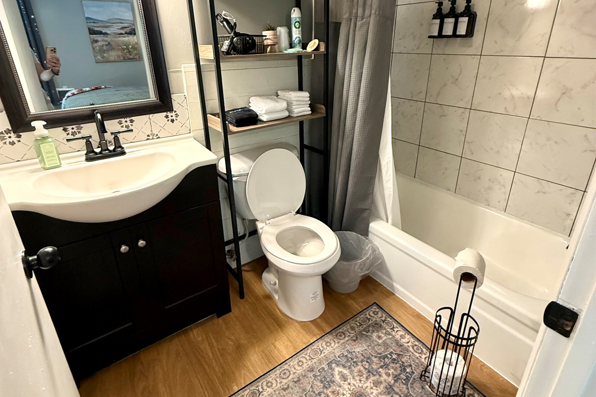 Full bathroom with tub/shower combo.