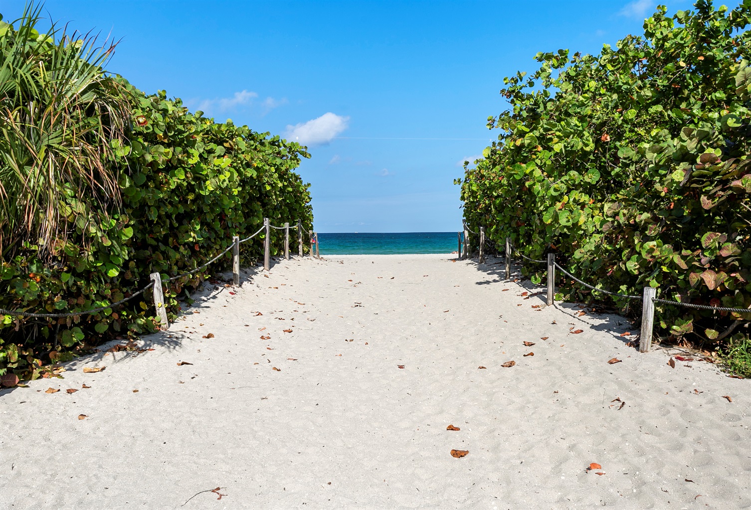 Beautiful beach entrance a short five minute walk from the building.