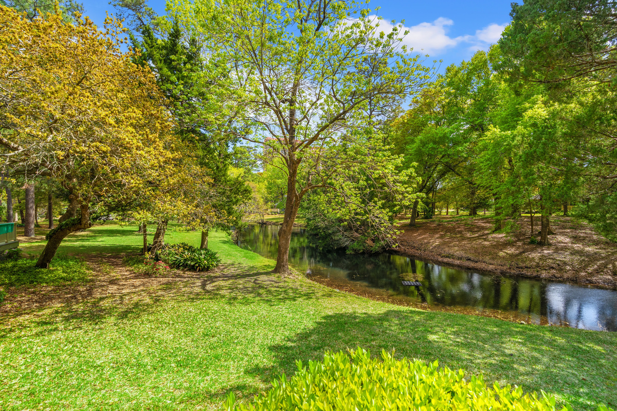 Beautiful Greenery