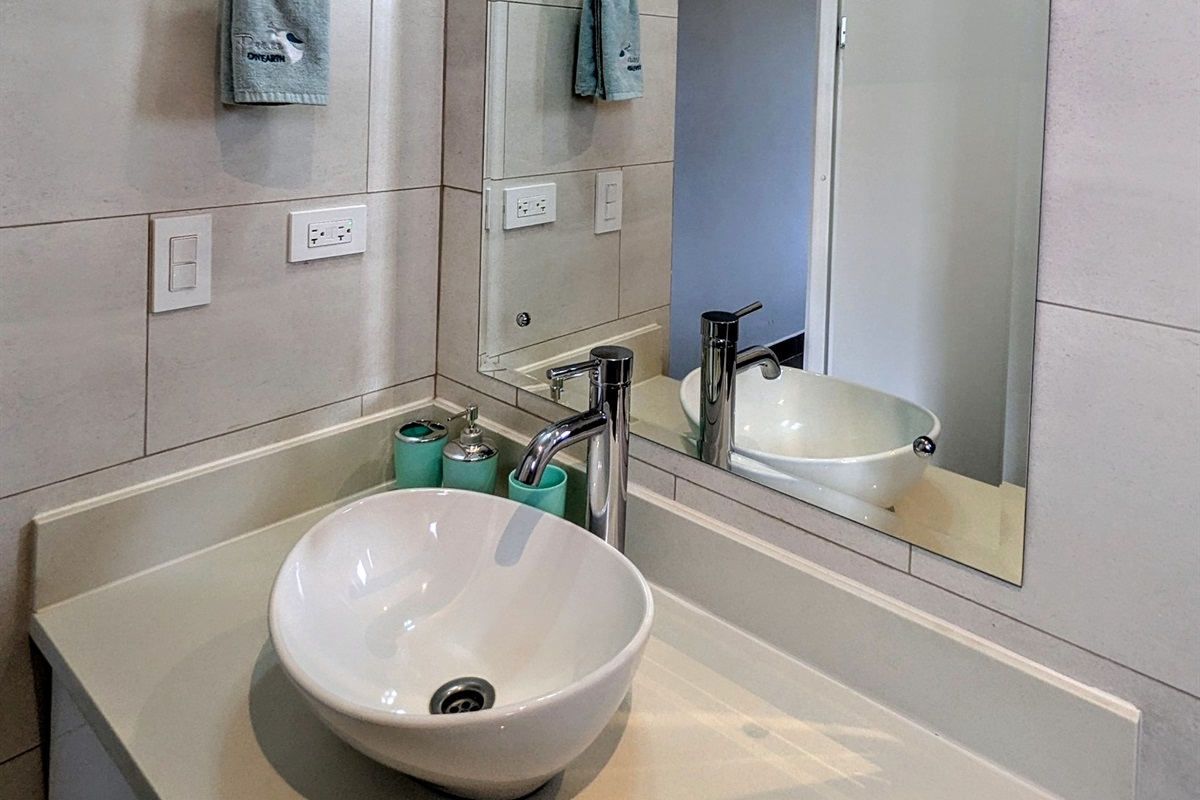Master Bathroom Sink