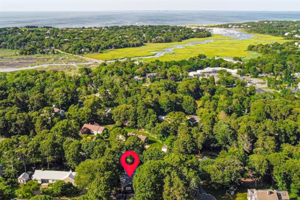 Aerial view of the neighborhood