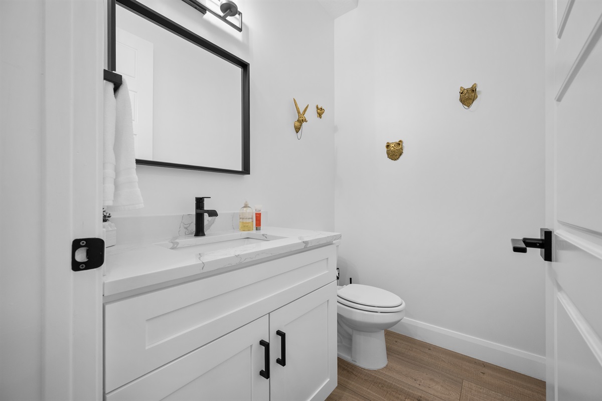 Main-level half bath with modern fixtures and bold mountain accents.
