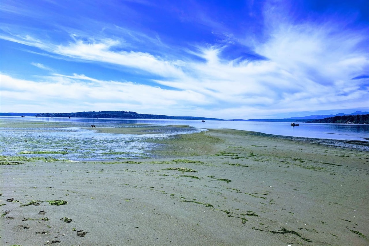 The dog and kids will be in heaven. Who are we kidding... everyone is in heaven on the beach. : )