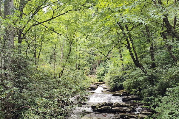 40 minutes to Great Smoky Mountains NP