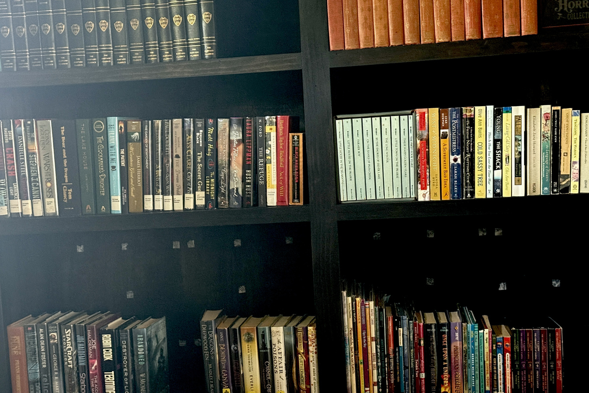 Stocked library shelves include books for adults and children.