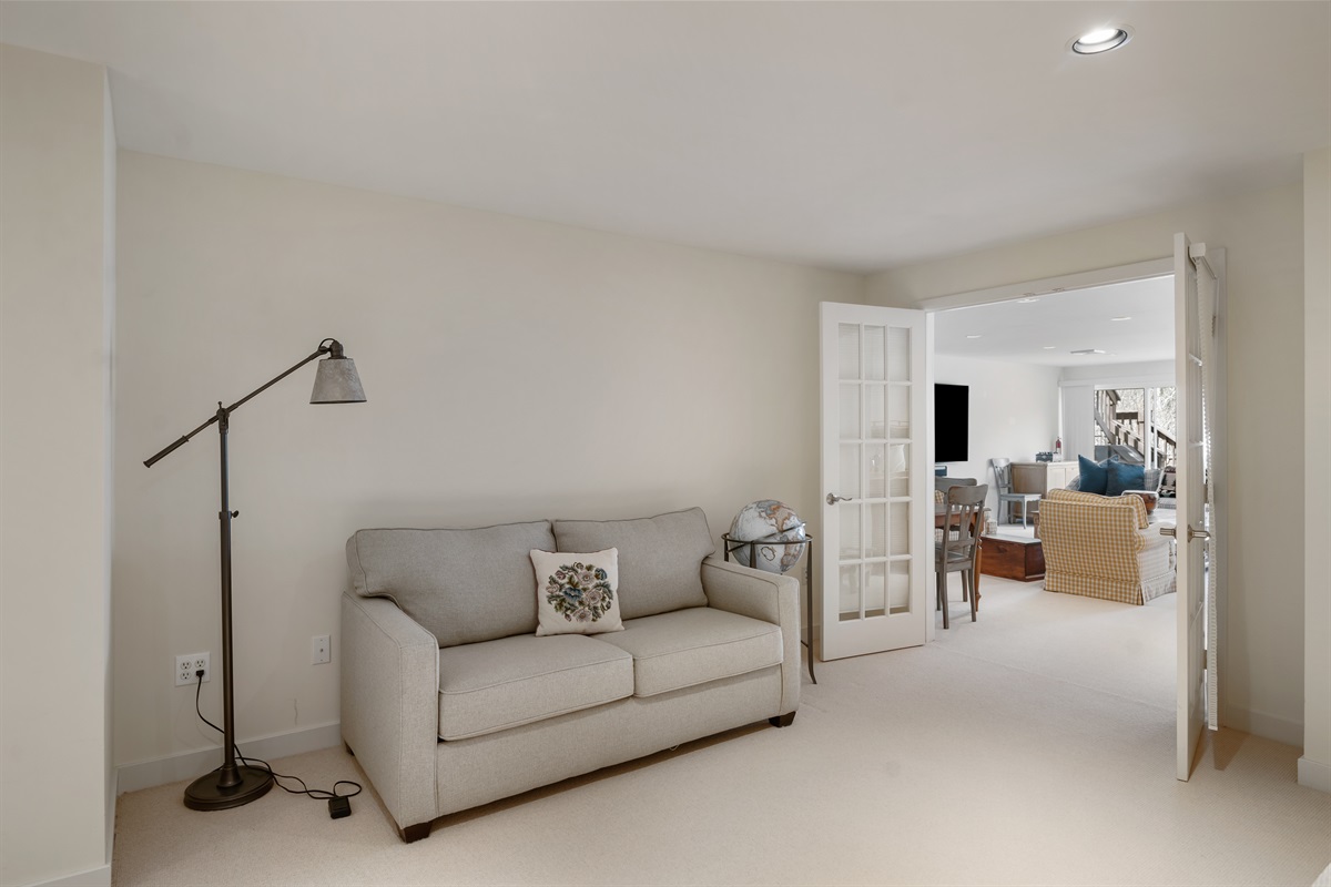 Lower Level Sleeper Sofa