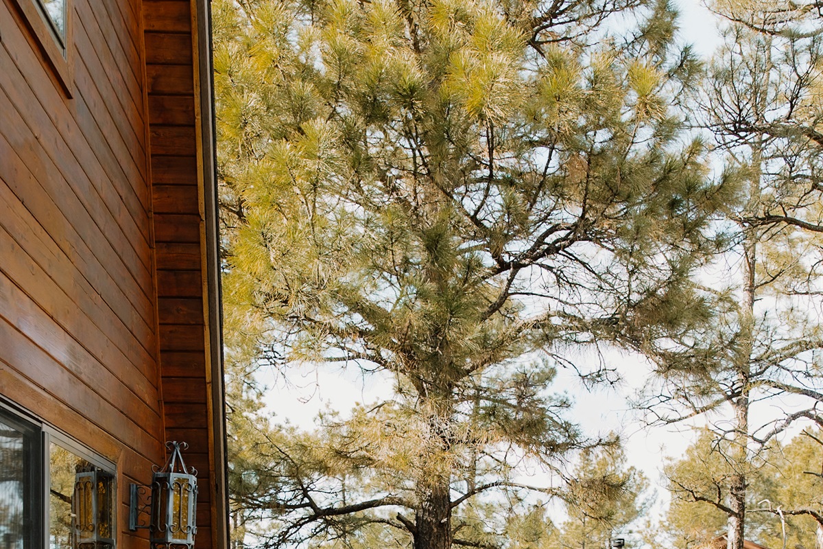 Front deck BBQ at Poppywood Pines 🌲 Fire up the grill and soak in the fresh mountain air in Arizona’s White Mountains. This cozy A-frame cabin in Show Low is perfect for family getaways, pet-friendly stays, and unforgettable sunset evenings.