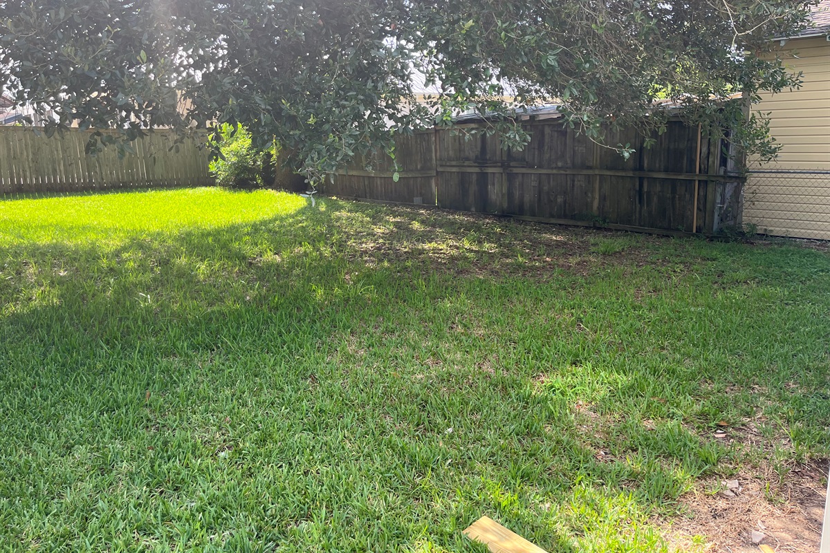 Spacious back yard