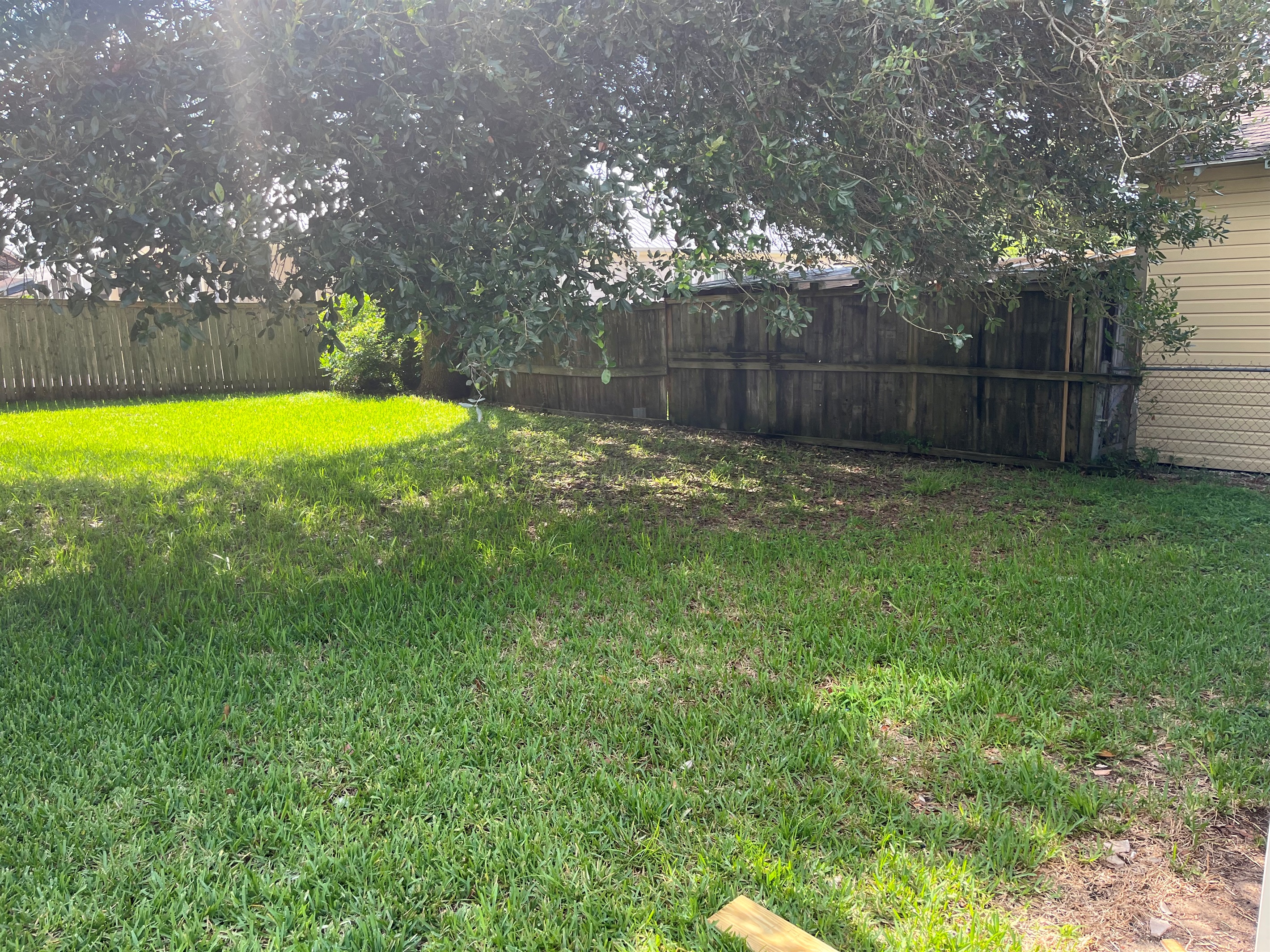 Spacious back yard