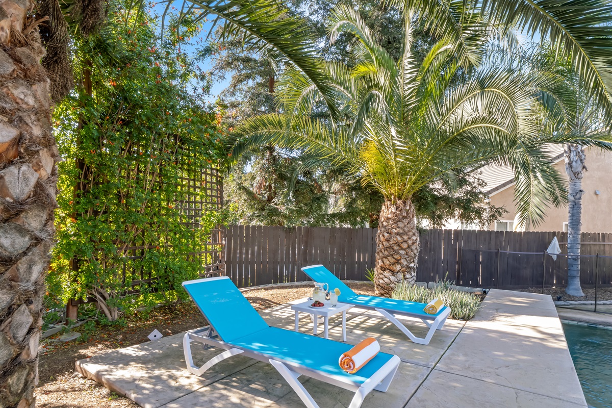 Your poolside escape — comfy loungers, shade from the palms, and total relaxation.