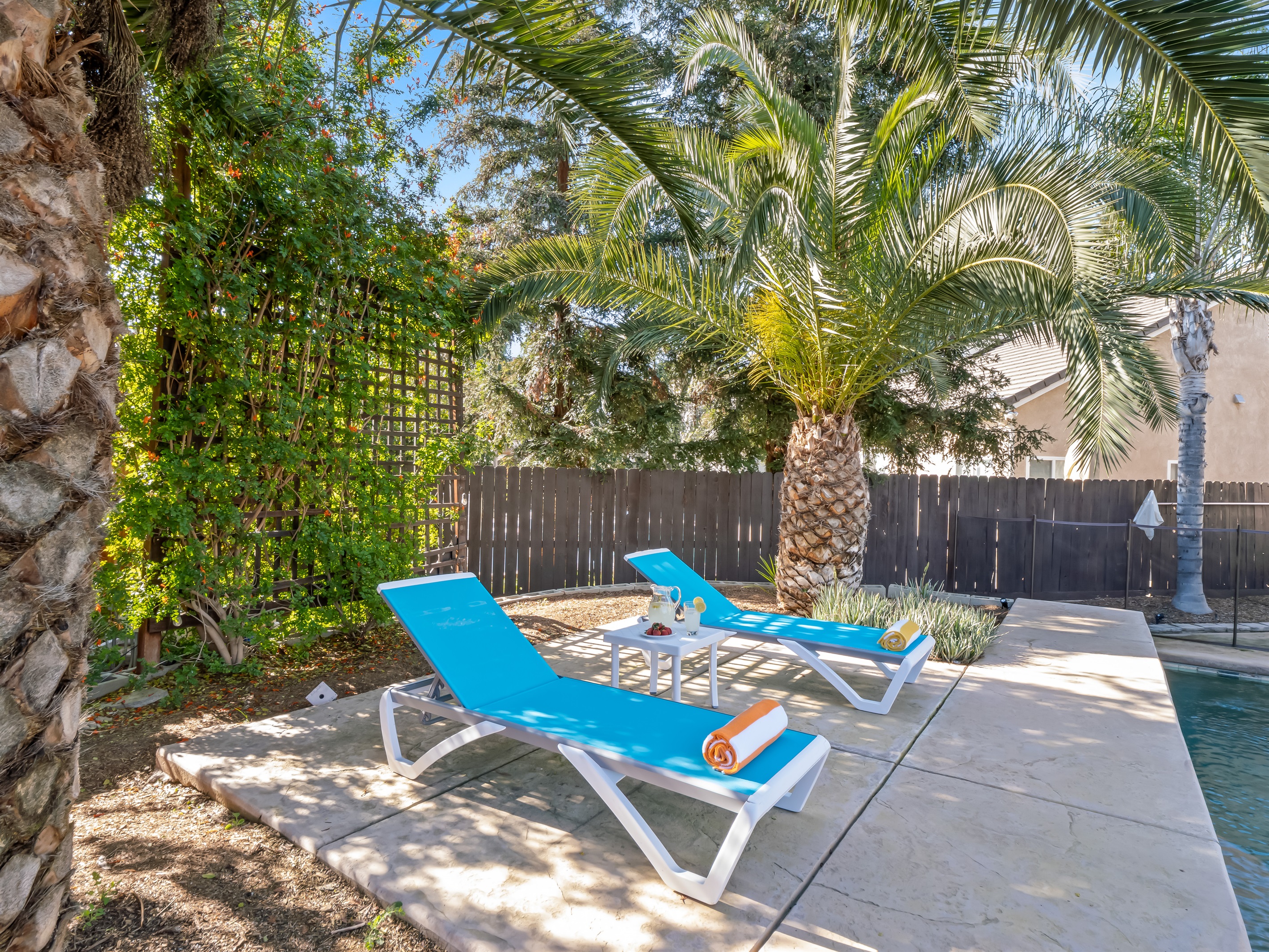 Your poolside escape — comfy loungers, shade from the palms, and total relaxation.