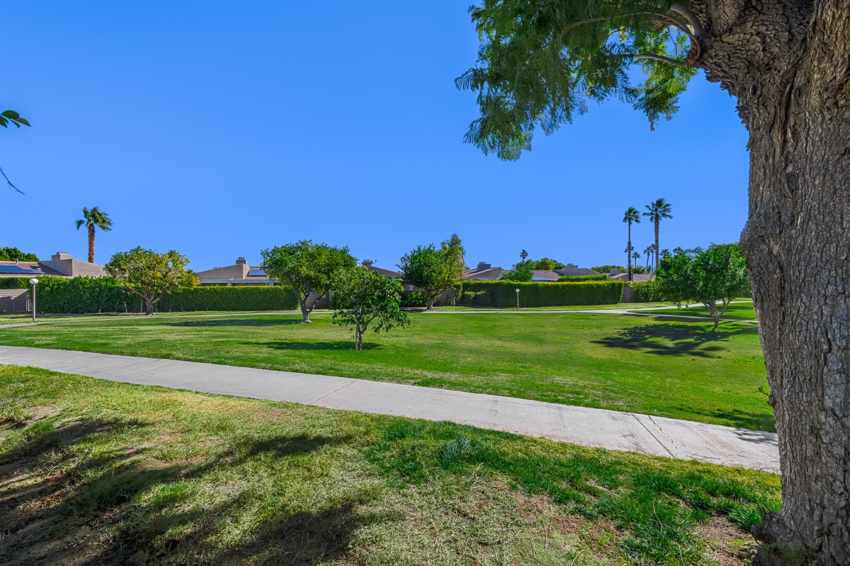 Walking and Jogging paths