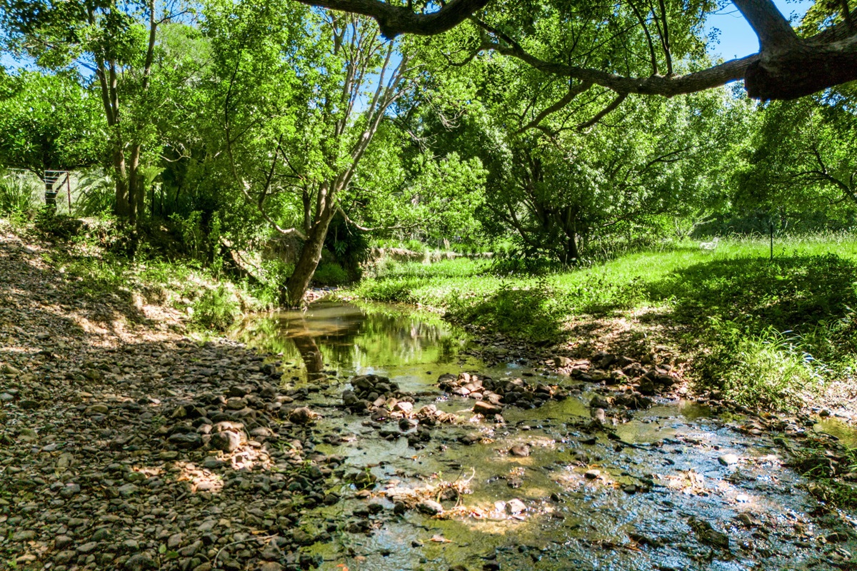 Swimming hole