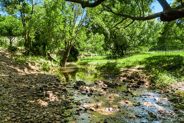 Swimming hole