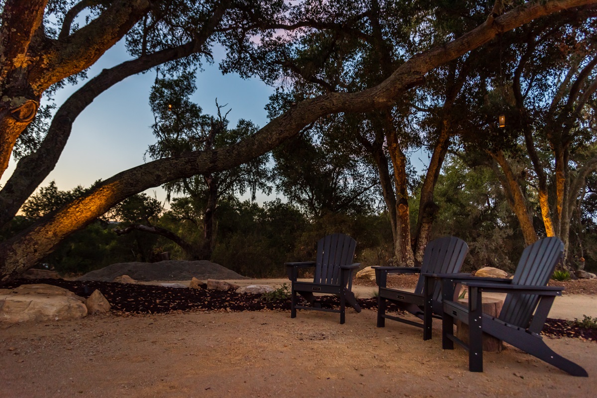 Relax in the quiet shade of ancient branches.