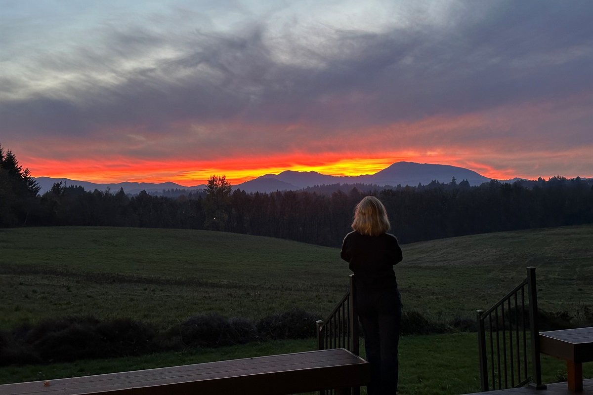 The Ultimate Lookout