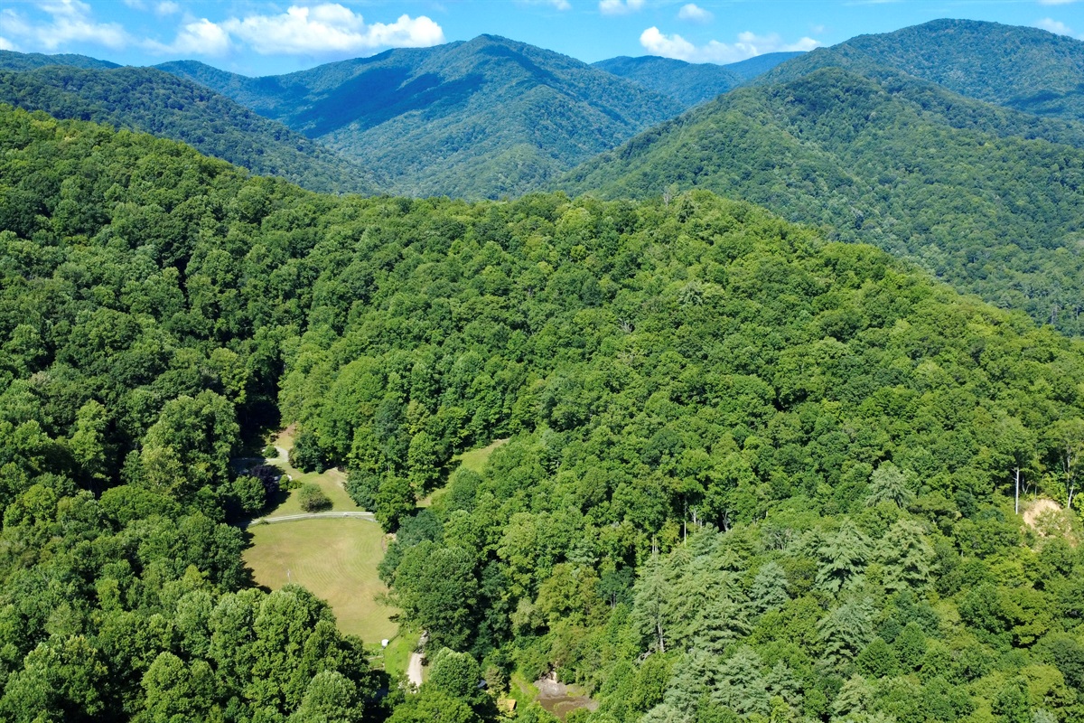 From above: The Cove at Dick Branch, where “quiet” is part of the amenities.