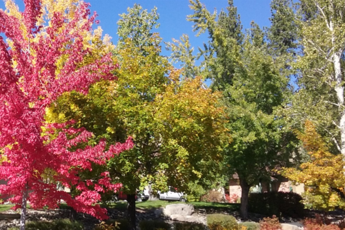 Enjoy fall foliage with less crowds!