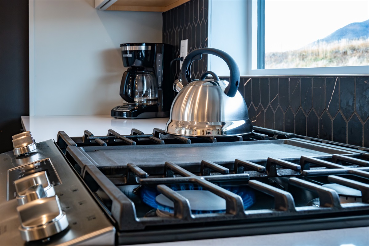 Kitchen amenities include a modern gas range and stainless appliances.
