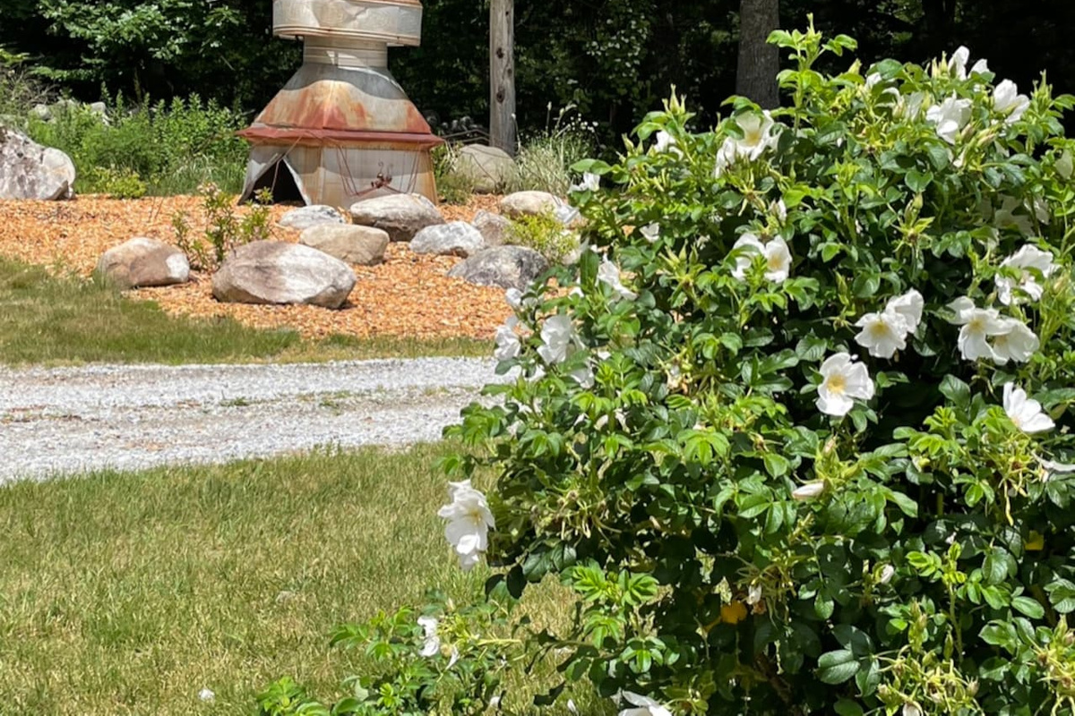 Can you find our resident Sentry Spider?