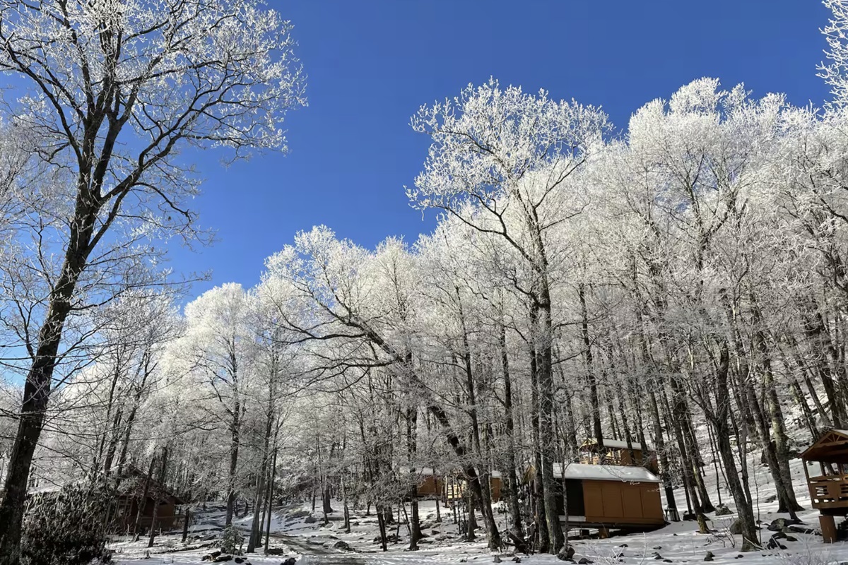 Winter on the Mountain!